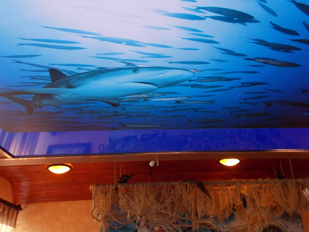 фотопечать океан на натяжном потолке